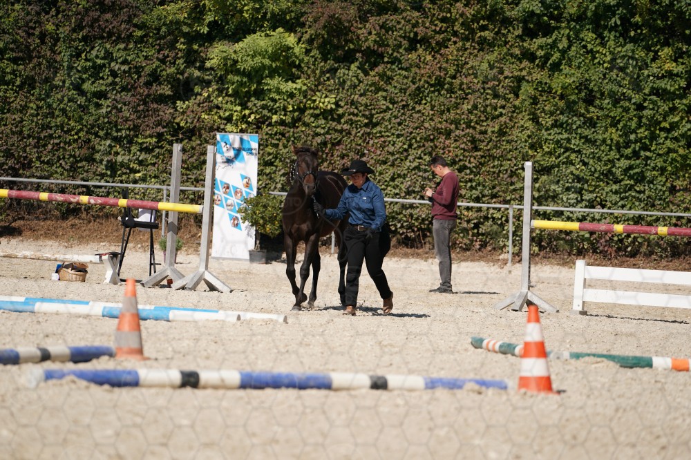 s_A_907660.JPG